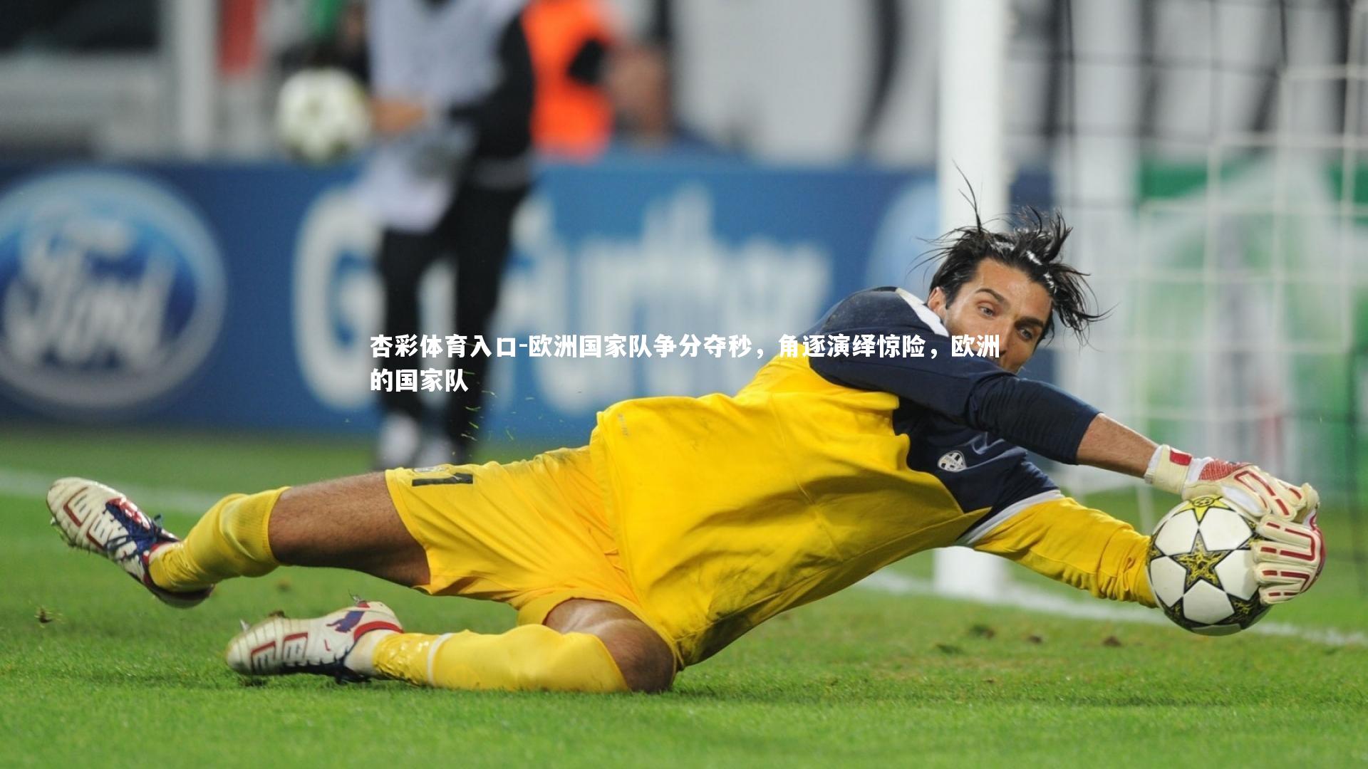 杏彩体育入口-欧洲国家队争分夺秒,角逐演绎惊险,欧洲的国家队